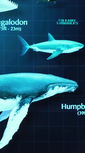 41K views · 688 reactions | Froid dans le dos 略 En eaux troubles, lundi soir sur TMC et TF1+. | TMC | Facebook