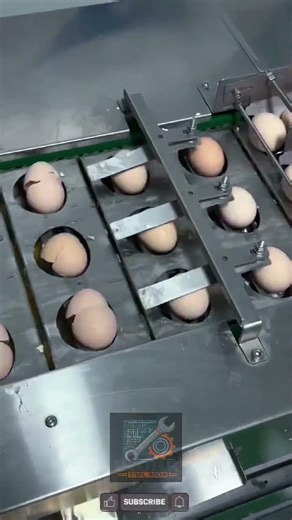Streamline Food Prep with High-Speed Automatic Egg Cracking and Separating