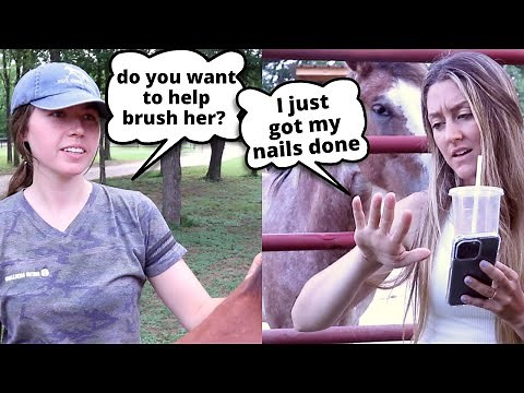 "I can't afford a horse" 😂 FUNNY Horse Videos