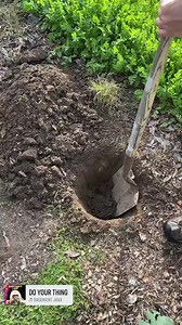 17K views · 94 reactions | Here are two of the ways I compost in the...