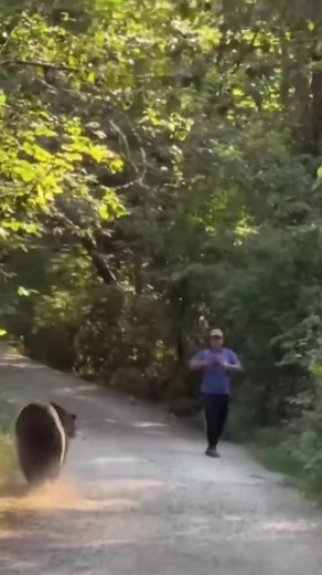 #bear #encounter #bearattack #luckyescape #neardeathexperiencecaughtoncamera #animalattack #animalencounter #grizzlybear #brownbear #nature #mothernature #wildencounter #wildestencounters #wild