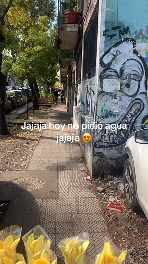 Videos de Antonio 1212 (@alvarocuero12) con “sonido original - Antonio 1212”