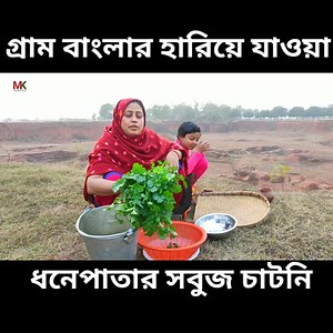 1.8K views · 66 reactions | গ্রাম বাংলার হারিয়ে যাওয়া ধনেপাতা সবুজ চাটনি Mehek kitchen Vlog | Mehek Kitchen Vlog | Facebook