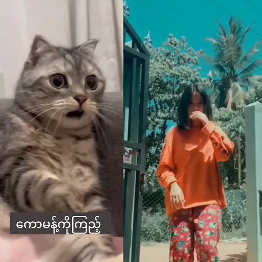 Myanmar Homemade HD Cooking Tutorial by Yoonyoonhd21