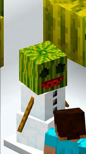 Minecraft Melon FACTS