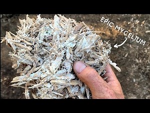 The Ultimate Woodchip Garden Pathways | FULL OF MYCELIUM!