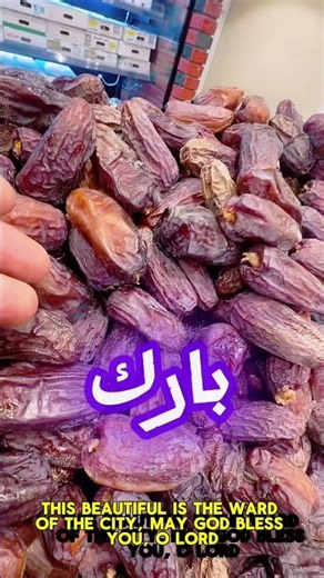 العجوة اجود تمور المدينة بستان عجوة طيبة #المغرب #اكسبلور #ترند #السعودية #تيك_توك #trending #مصر