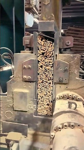 The secrets of bamboo technology that will shape the future