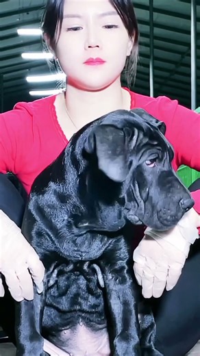 Asmile is a charitable act@ 38