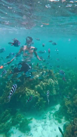 Pungume island A peaceful island escape with crystal-clear waters and white sandy beaches. www.salamcavetours.com will bring you there for an unforgettable Zanzibar experience. #pungumeisland #Zanzibar #VisitZanzibar #ExploreZanzibar #IslandEscape