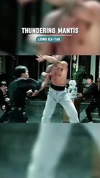 Wu Tang Collection - Thundering Mantis #shortvideo #shorts #short