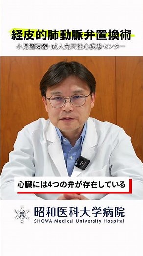 【経皮的肺動脈弁置換術】そもそも心臓の弁の役割って何？ #昭和医科大学病院 #子供の心臓病 #小児循環器 #小児心臓 #先天性心疾患 #妊娠 #出産 #経皮的肺動脈弁置換術
