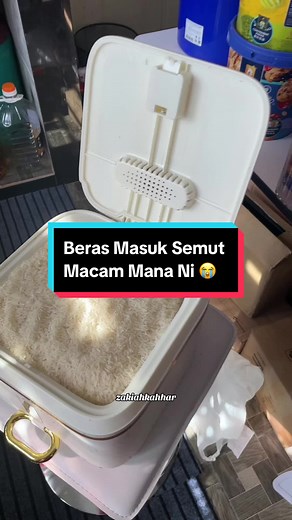 Cara Hilangkan Semut Dalam Beras Dengan Mudah
