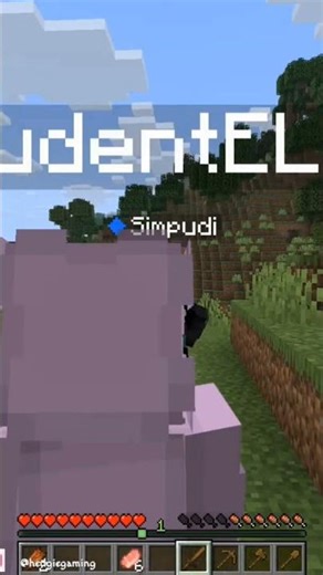 Long distance w @Its_Impu 💕😵‍💫 #minecraft #minecraftshorts #gaming #clips #twitch