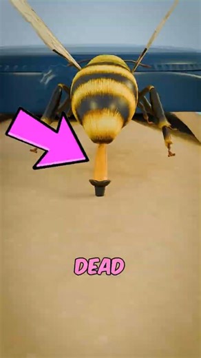 If You Ever Wondered Why Bees Die After They Sting You 😱