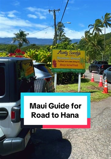 Explore the Best of the Road to Hana in Maui
