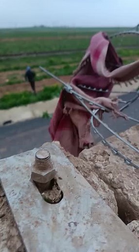 Exploring Agricultural Practices in Rural Settings