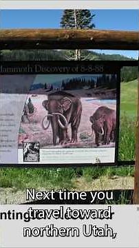 The story of Huntington Reservoir State Park's Giant Columbian Mammoth Fossil, largest ever! #fossil