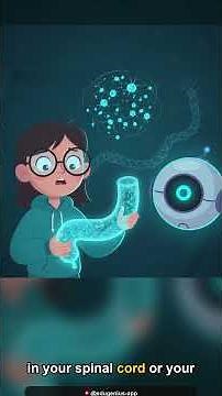 Gut Feelings: The Science Behind Your Instinct & Trust!