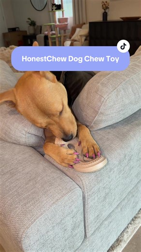 Top Chew Toys for Dogs: HonestChew Review