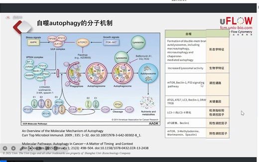 自噬，铁死亡，焦亡，细胞凋亡和细胞活力检测