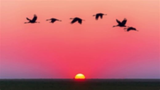 Nature's Melody: Discovering the Timeless Rhythm of Nature