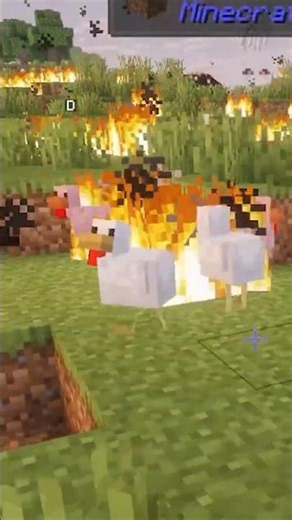 Breeding Minecraft chickens but it's CHAOS