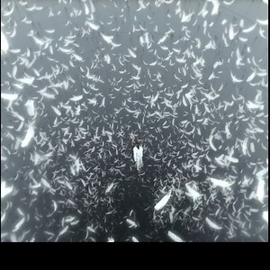 3.4M views · 26K reactions | The Man was trapped in a white Room, Movie #Explained #movieclips | Amazing Thinx | Facebook