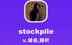 stockpile：储备，囤积_哔哩哔哩_bilibili