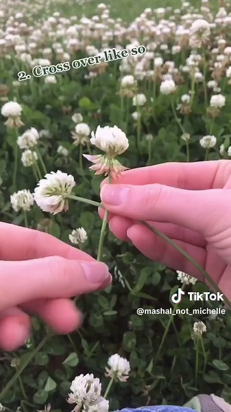 DIY Flower Crown Tutorial: Cottagecore Aesthetic