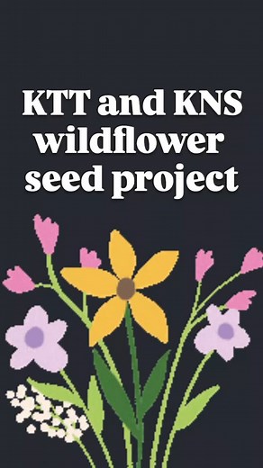 Biodiversity in the community. The Kilfenora Tidy Towns Wildflower seed project in conjunction with Kilfenora National School is ready to exploooode 💥🏵🌹🌸 One of our most excellent team members has spent a muddy day preparing seed bombs for sharing in the community. These seeds were collected in Oct/Nov in The Burren by the children of the parish. Each child was given the opportunity to prepare ground over the winter for planting the seeds in the spring.. Check out our previous videos on the 