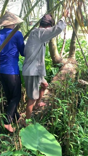 Catching catfish with a hand-line fishing rod #lifeinthewesternregion #fishing #ngovannhan