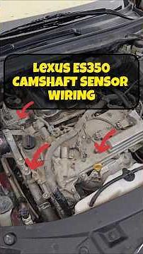 Camshaft sensor wiring diagram lexus es350 v6, #shorts #cams #camshaft #sensor