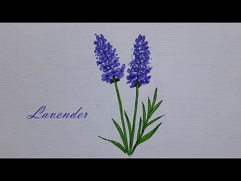 Lavender Drawing | How to Draw Lavender Flower | Brush pen