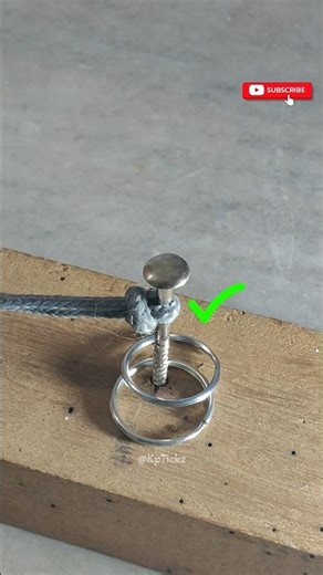 How to Create Amazing Results with One Simple Trick #shorts #republicday #lifehacks #handyhacks #diy