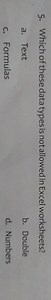 Which of these data types is not allowed in Excel worksheets?a... | Filo