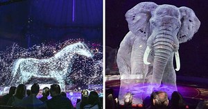 German Circus Replaces Live Animals With Hologram For A Cruelty-Free, Magical Experience