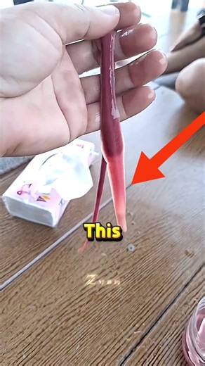 Jack O'Mural | This Worm Has an Alien Weapon 💀🤯👹 This strange creature looks like a harmless worm, but it has a hidden weapon straight out of a sci-fi... | Instagram
