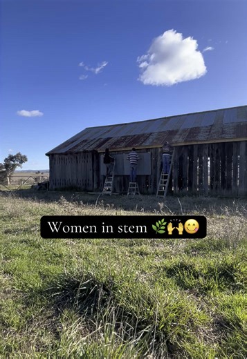 Hello little Stonks it’s me again #vlog