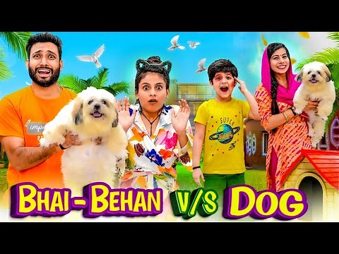 Bhai Behan vs Dog | BakLol Video