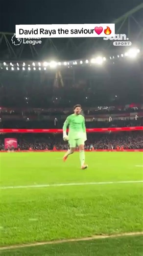 David Raya's Incredible Saves Against Chelsea