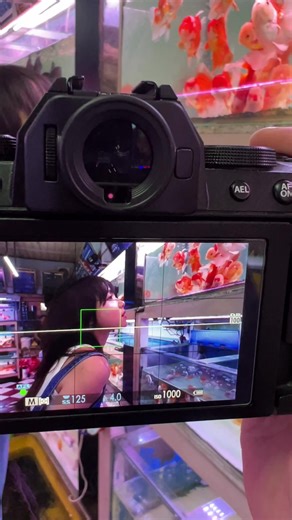 Finding Nemo: Stunning Aquarium Photography Tips