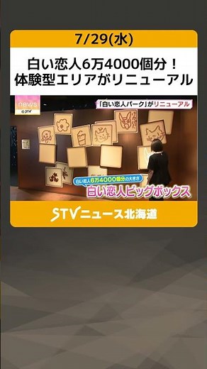 Equivalent to 64,000 Shiroi Koibito cookies! The interactive area at "Shiroi Koibito Park" in Nis...