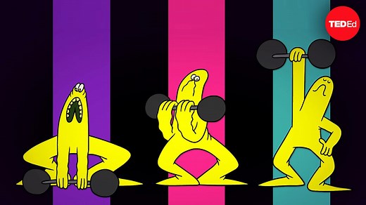 The surprising reason our muscles get tired