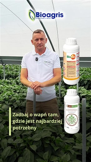 🌶️ Sucha zgnilizna wierzchołkowa owoców to jeden z najczęściej występujących problemów w uprawie papryki. Jej objawy widoczne są na owocach, ale przyczyny najczęściej należy szukać w ograniczonym transporcie wapnia w roślinie. Skuteczna profilaktyka zaczyna się od budowy silnego i aktywnego systemu korzeniowego, który odpowiada za pobieranie wody oraz składników pokarmowych, w tym wapnia. ✅ Dlatego warto wdrożyć MycoTech Bio – rozwiązanie oparte na mikoryzie, wspierające rozwój systemu korzenio