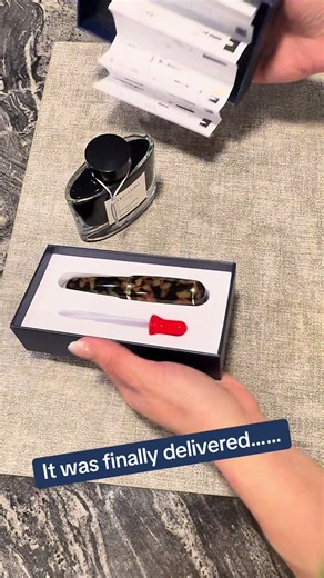 Cute Fountain Pens Delivered Just in Time for New Year