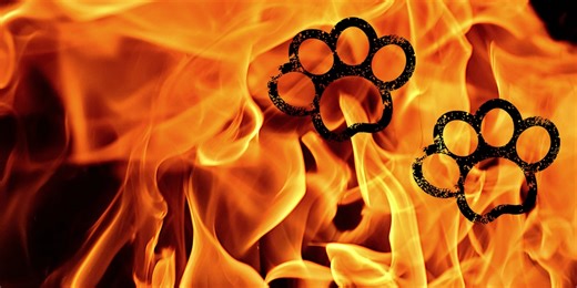 2 displaced, two cats die in Avondale house fire, district fire chief says