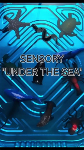SENSORY EXPERIENCE