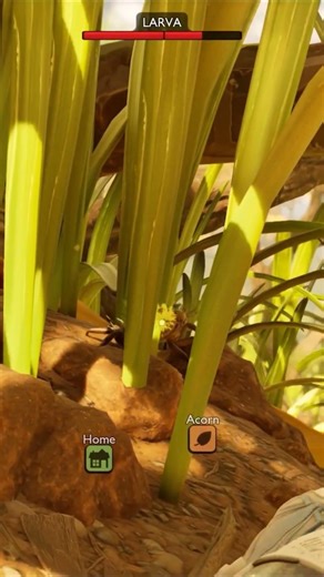 #mite #grounded2 #survival #payback