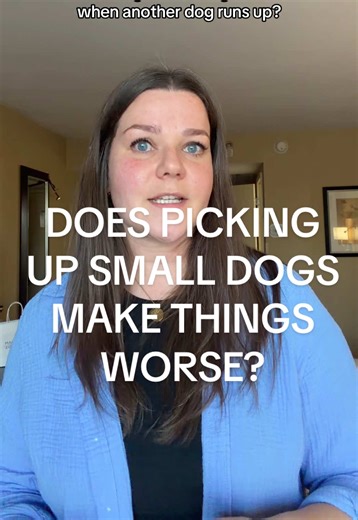 Small Dog Training: Picking Up Dogs